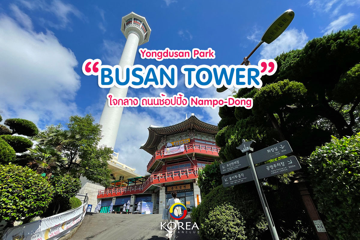 Busan Tower จุดชมวิวเมืองปูซาน