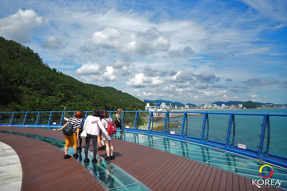 ทางเดินลอยฟ้า Cheongsapo Daritdol Observatory เมืองปูซาน