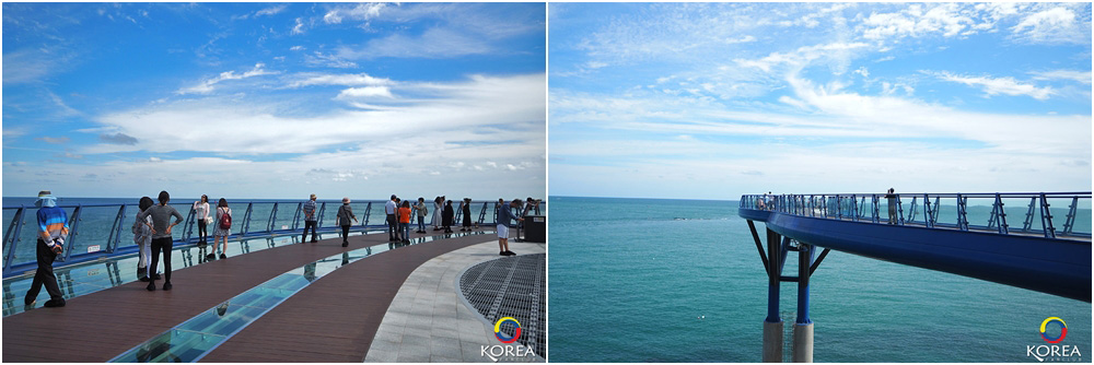 ทางเดินลอยฟ้า Cheongsapo Daritdol Observatory เมืองปูซาน