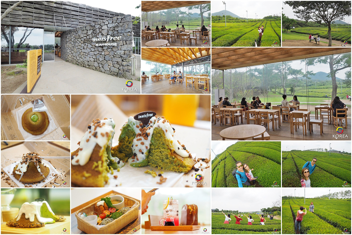 innisfree Jeju House เกาะเชจู