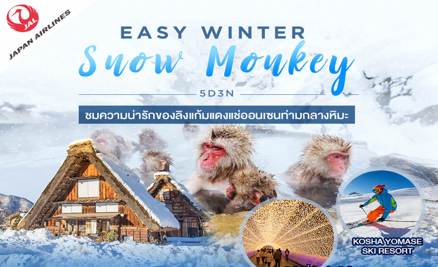 ทัวร์ญี่ปุ่น Easy Winter Snow Monkey 5D3N (ก.พ.-มี.ค.63)