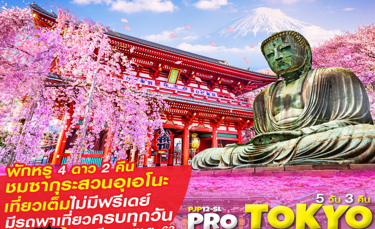 ทัวร์ญี่ปุ่น Pro Tokyo Fuji Sakura 5D3N เที่ยวเต็ม ไม่มีฟรีเดย์ (มี.ค.-เม.ย.63)