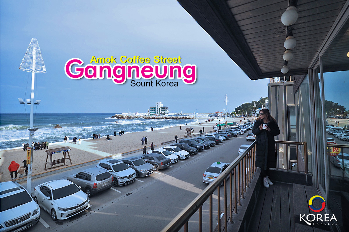 ถนนสายกาแฟ คังนึง (Anmok Beach)