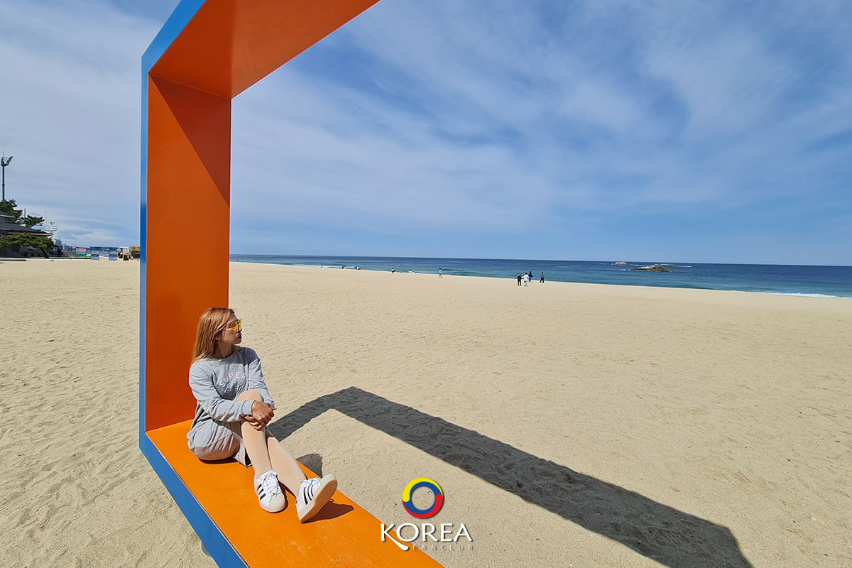 강릉 경포수욕장 ชายหาดคยองโพ