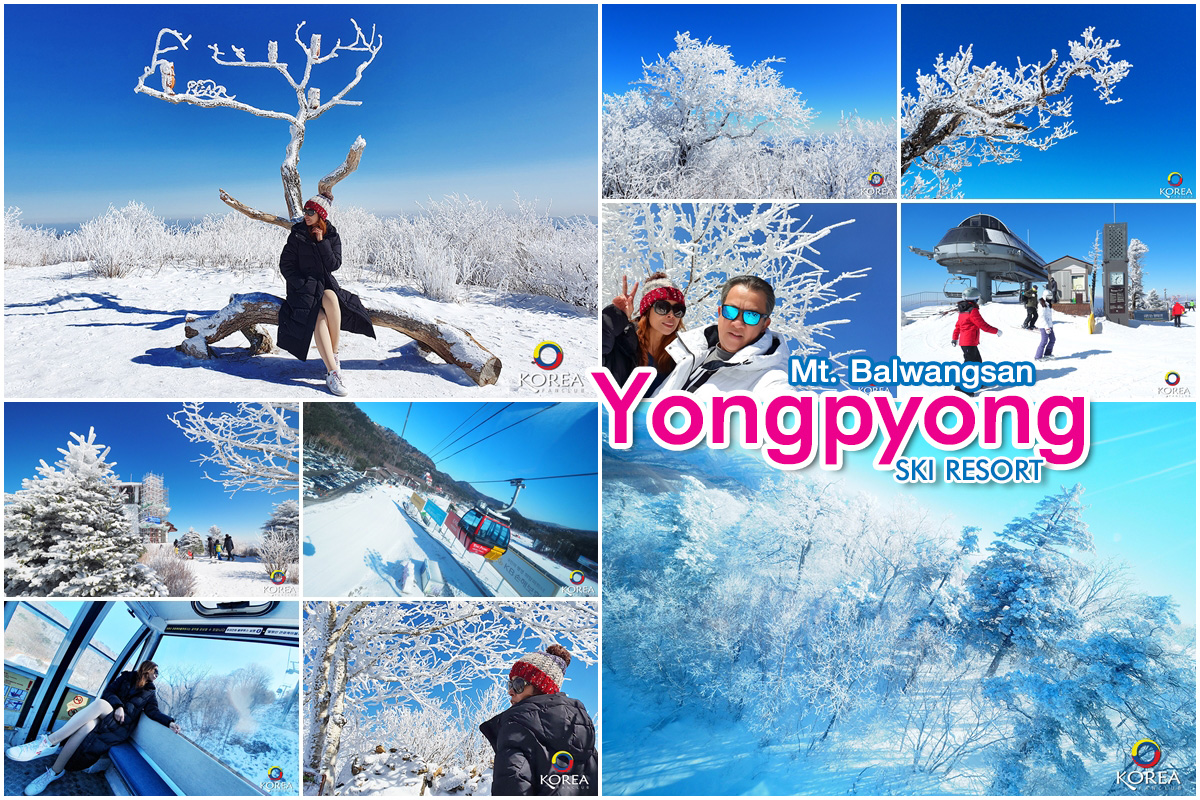 เขา พัลวังซัง ยงเพียง สกีรีสอร์ท Yongpyong