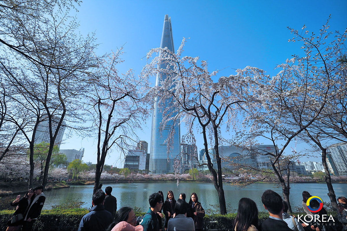 ตึกล็อตเต้เวิลด์ ทาวเวอร์ : Lotte World Tower