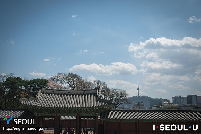 พระราชวังชังด็อกกุง : Changdeokgung Palace