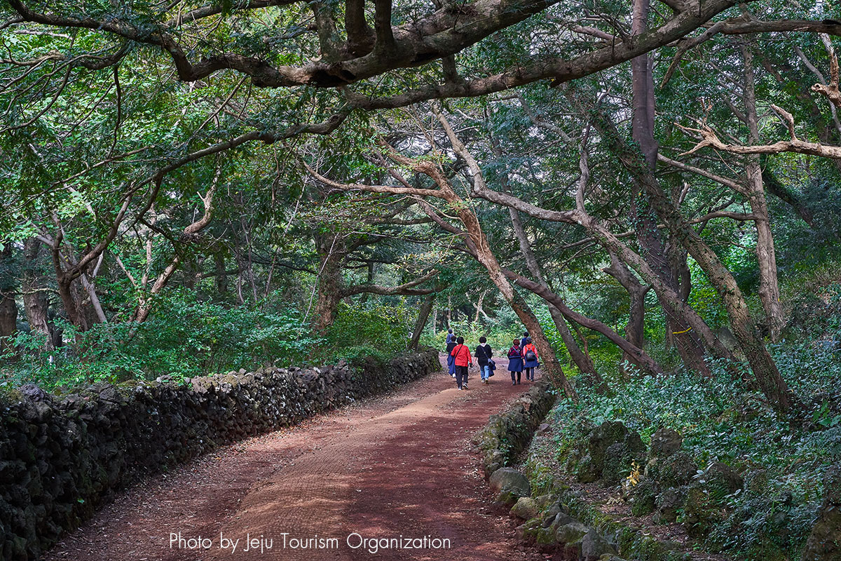 ป่าบีจาริม : Bijarim Forest