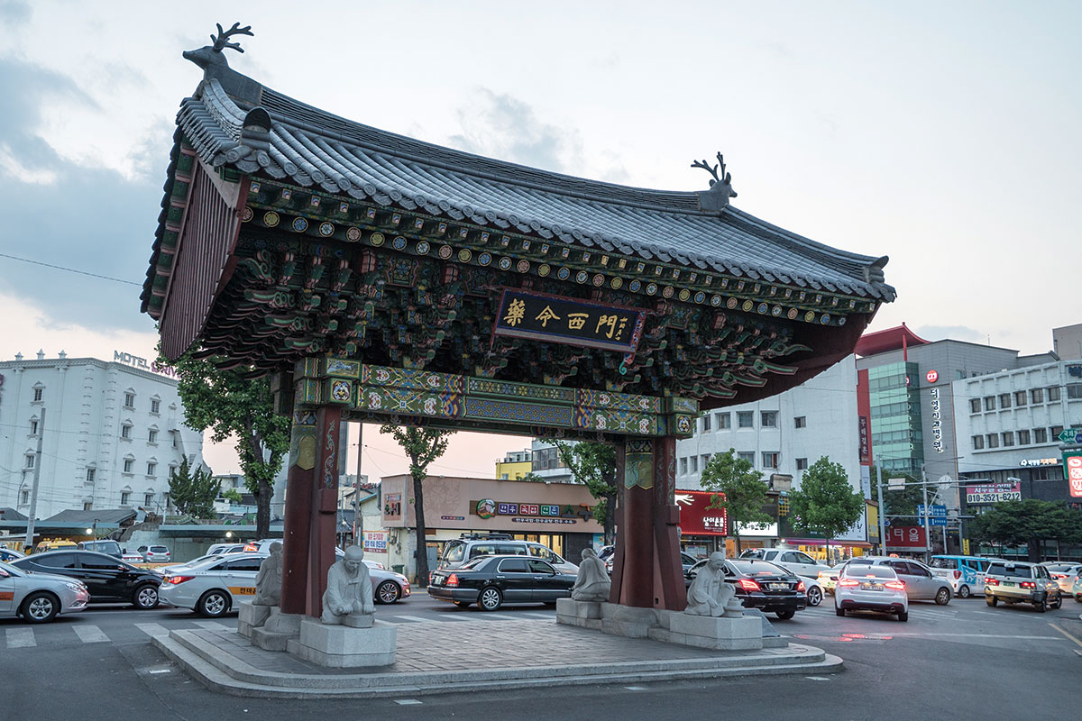 ตลาดยังนยองซี : Yangnyeongsi Market