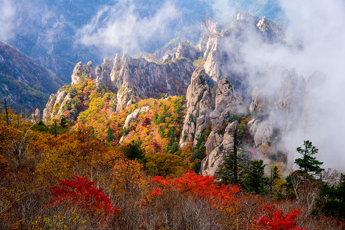 อุทยานแห่งชาติซอรักซาน : Seoraksan National Park