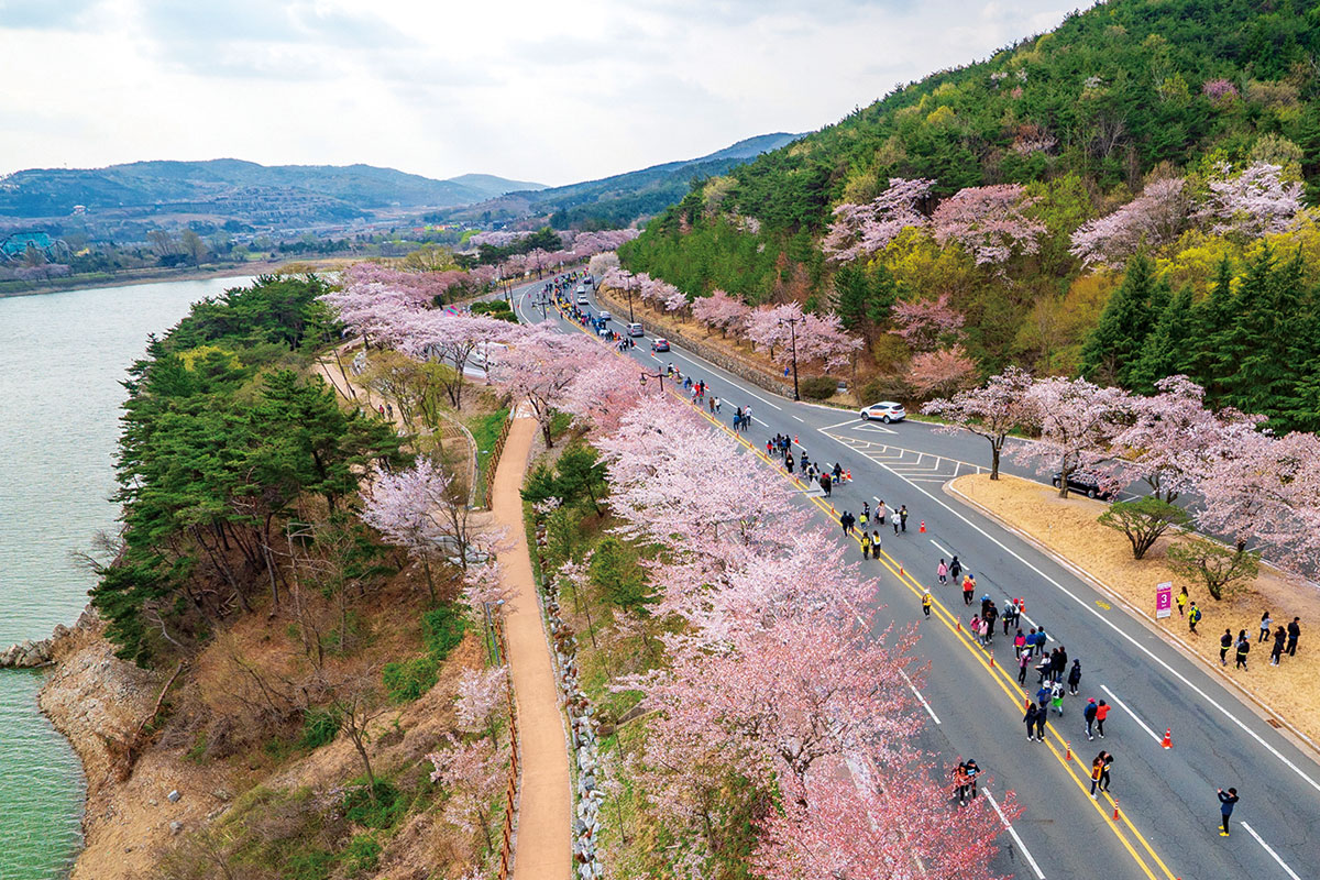 โพมุน ทัวริสต์ คอมเพล็กซ์ : Bomun Tourist Complex