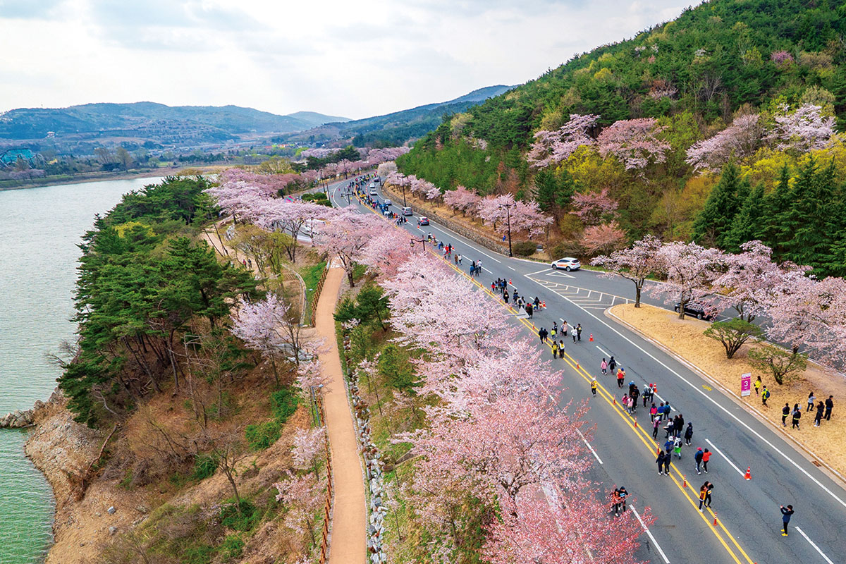 โพมุน ทัวริสต์ คอมเพล็กซ์ : Bomun Tourist Complex