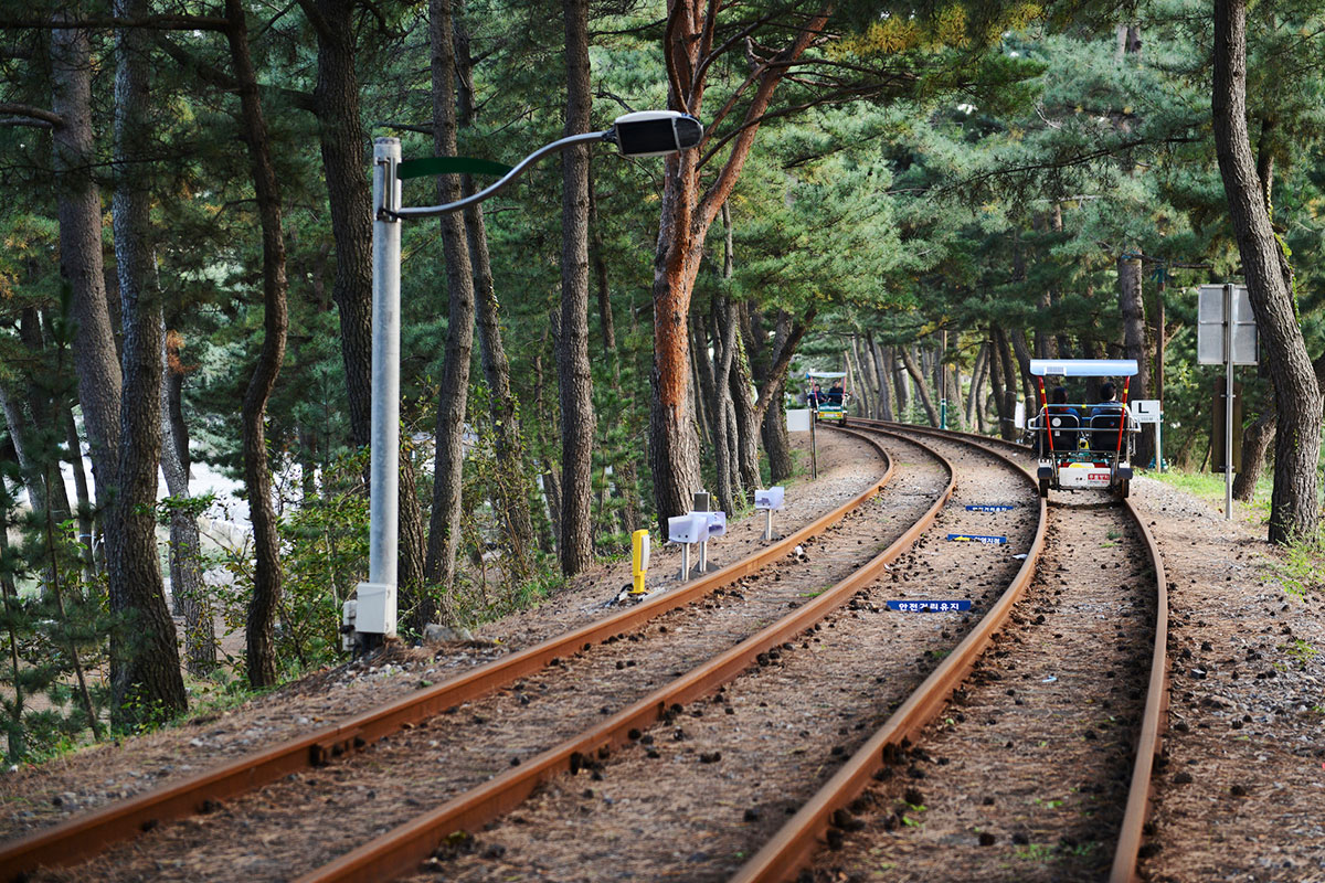 Gangchon Rail Park : อุทยานกังชนเรลปาร์ก