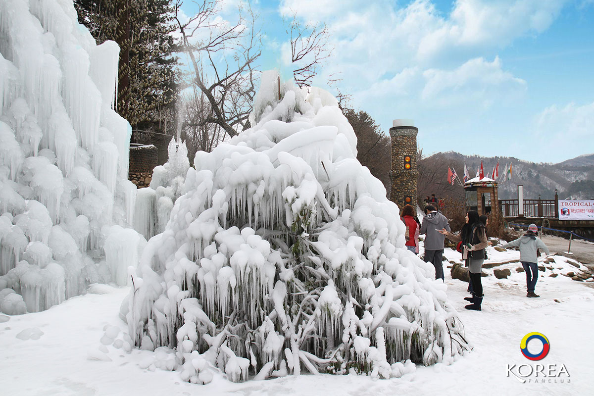 เกาะนามิ Nami Island