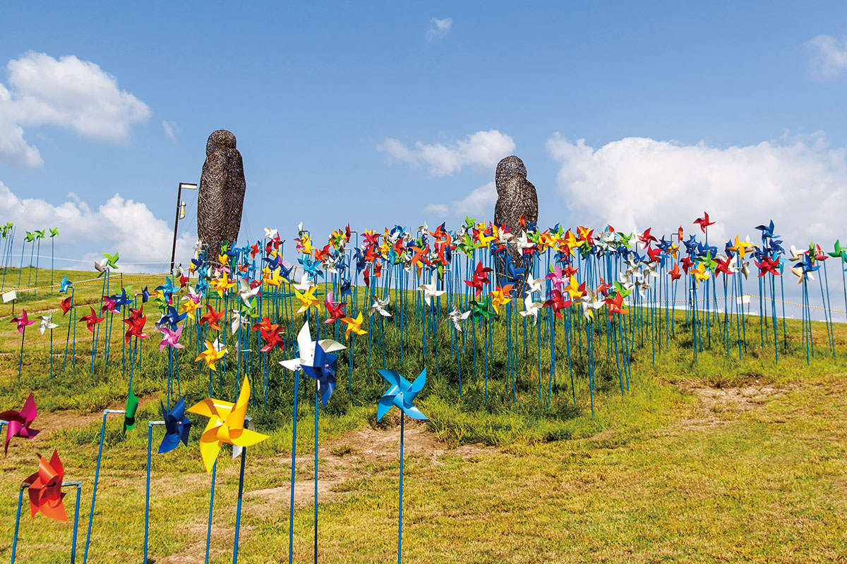 เส้นทางเดินเท้า สวนสันติภาพ : DMZ Eco Peace Park Trail