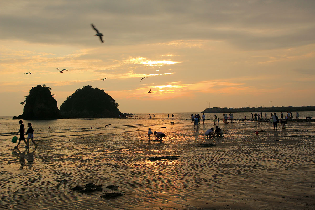 เกาะอันมยอนโด : Anmyeondo Island