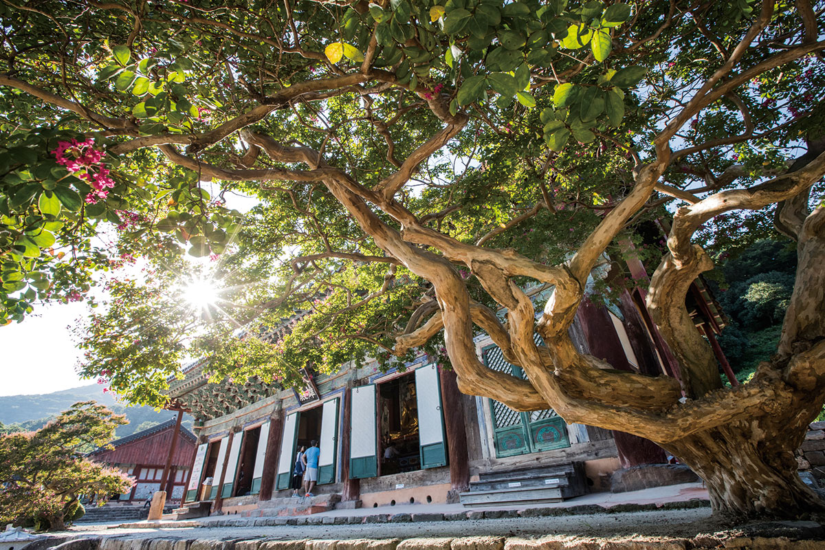 วัดซอนุนซา : Seonunsa Temple