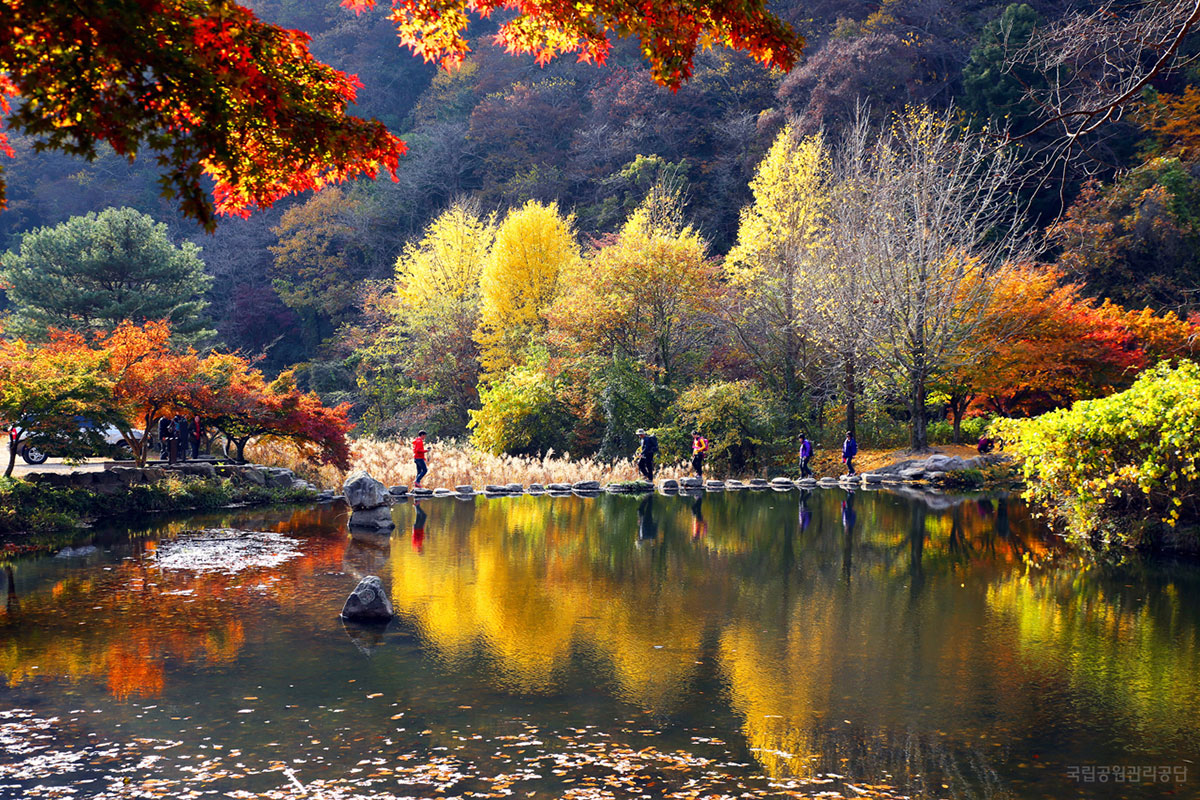 แนจางซาน อุทยานแห่งชาติ : Naejangsan National Park