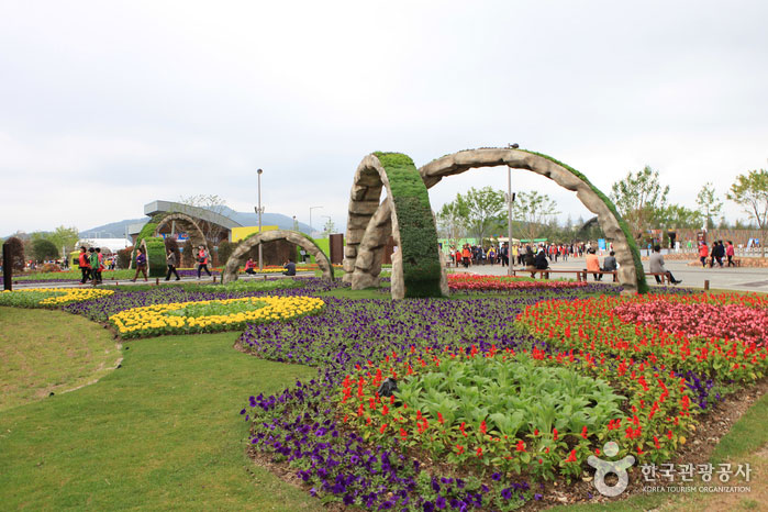 อุทยานแห่งชาติ อ่าวซุนชอนมาน : Suncheonman Bay National Garden
