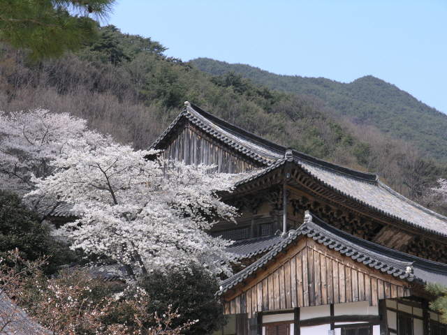 วัดฮวาออมซา : Hwaeomsa Temple