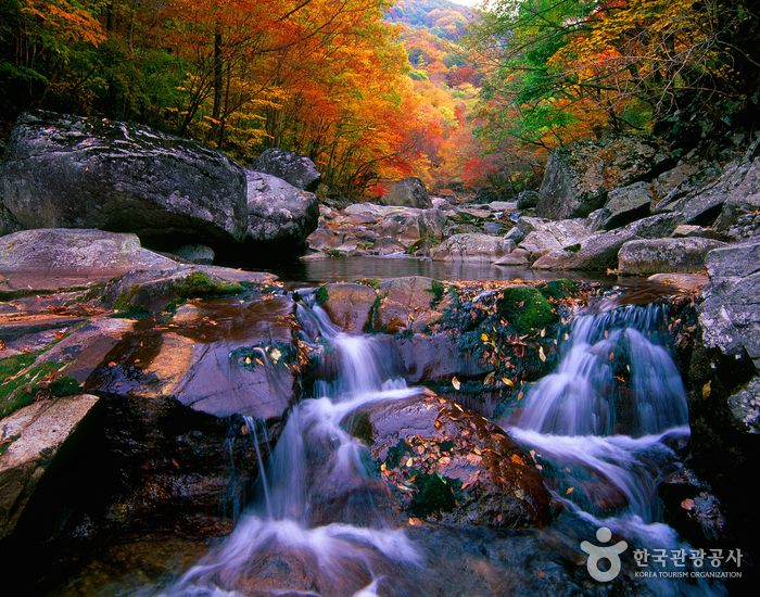 อุทยานแห่งชาติ จีรีซาน : Jirisan National Park