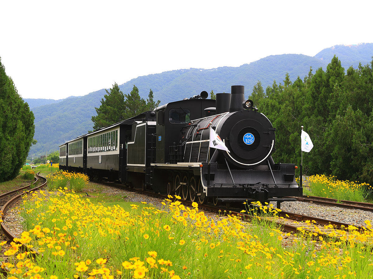 หมู่บ้านรถไฟซอมจินกัง : Seomjingang Train Village