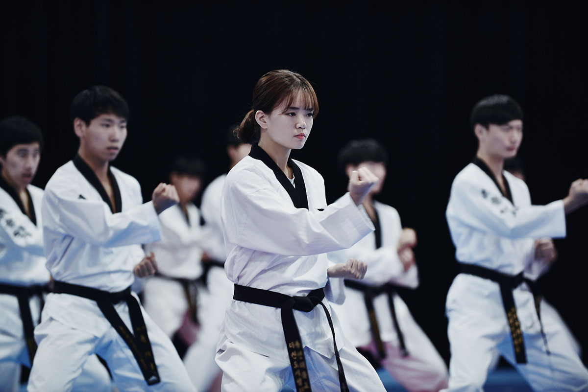 เทควันโดวอน : Taekwondowon