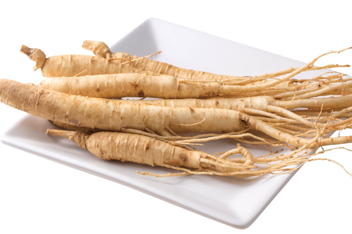 ตลาดโสม คึมซาน : Geumsan Ginseng & Herbal Medicine Market