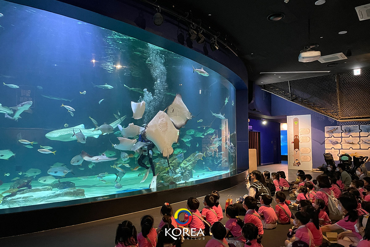 Daegu Aquarium