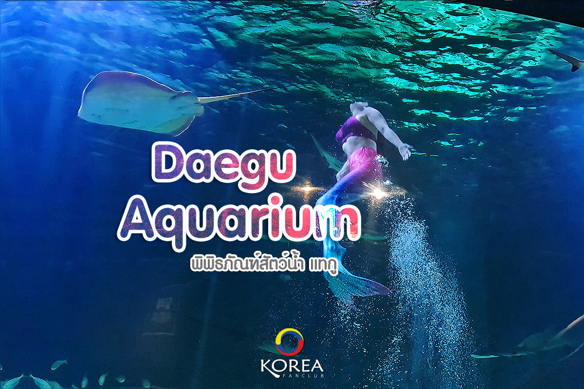 Daegu Aquarium : พิพิธภัณฑ์สัตว์น้ำ แทกู