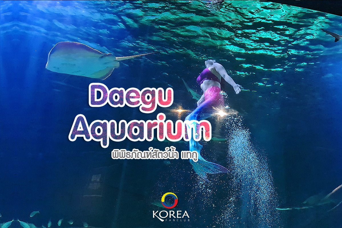 Daegu Aquarium