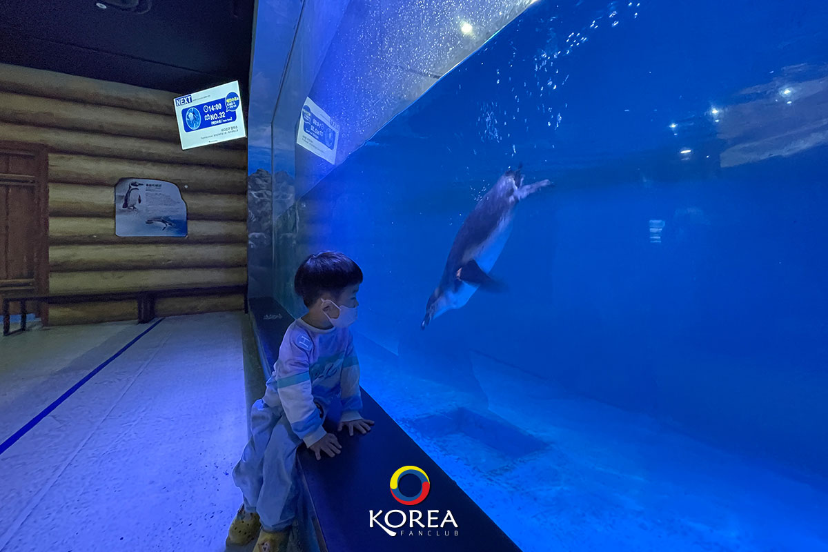 Daegu Aquarium