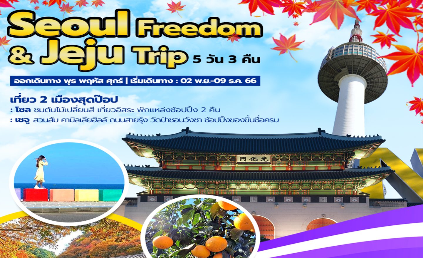 ทัวร์เกาหลี Seoul Freedom & Jeju Trip (พ.ย.-ธ.ค..65)