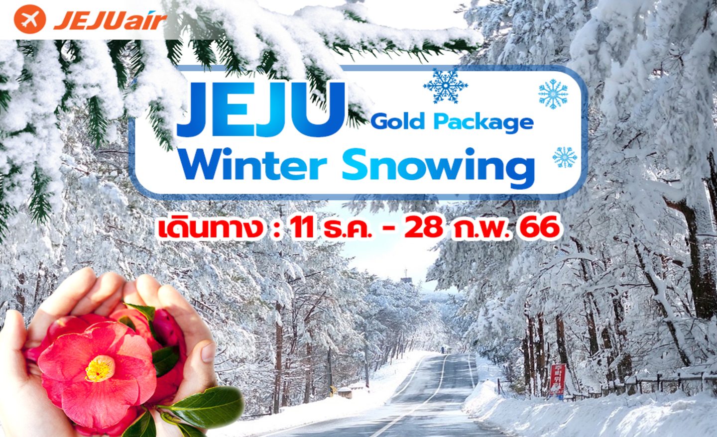ทัวร์เกาหลี Jeju Gold Package Winter Snowing (ธ.ค..65-ก.พ.66)