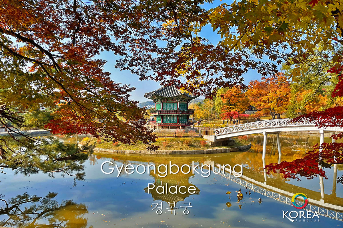 Gyeongbokgung Palace ใบไม้เปลี่ยนสี เคียงบกกุง