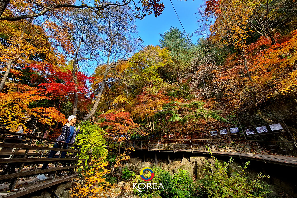 Hwadam Botanic Garden