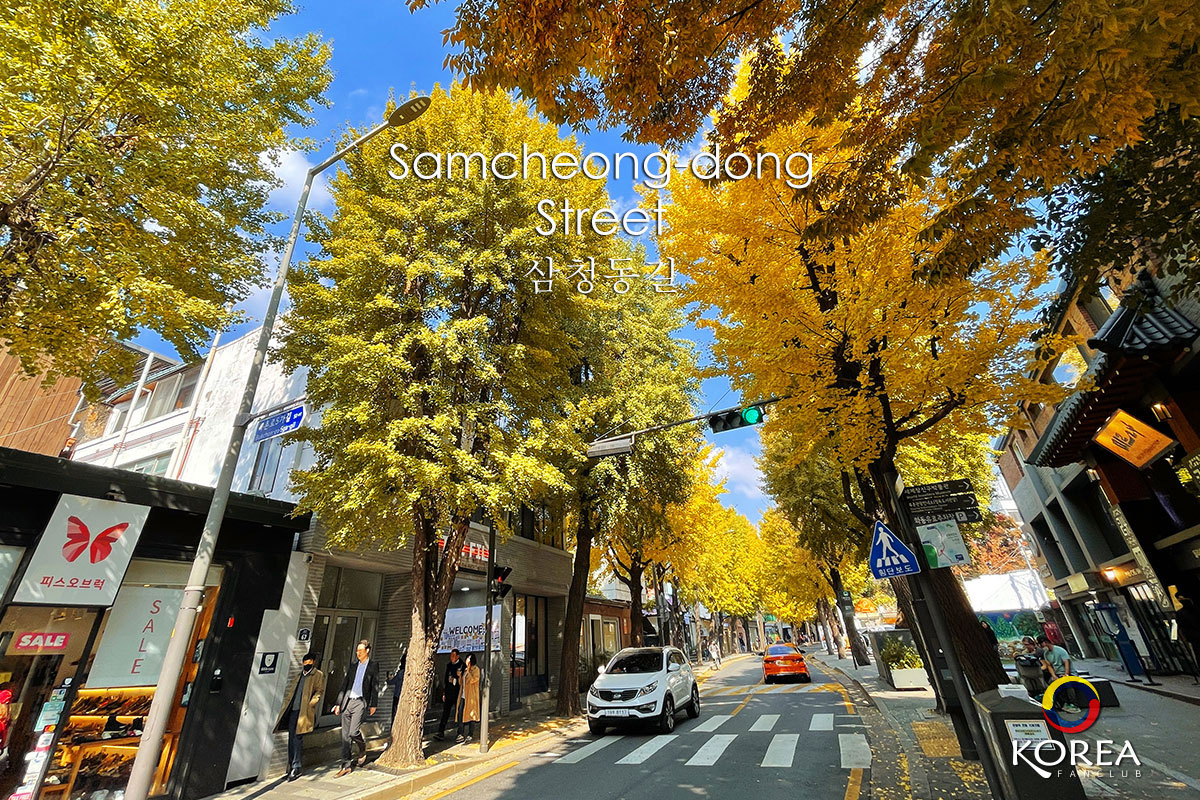 ซัมชองดอง Samcheong-dong ใบไม้เปลี่ยนสี