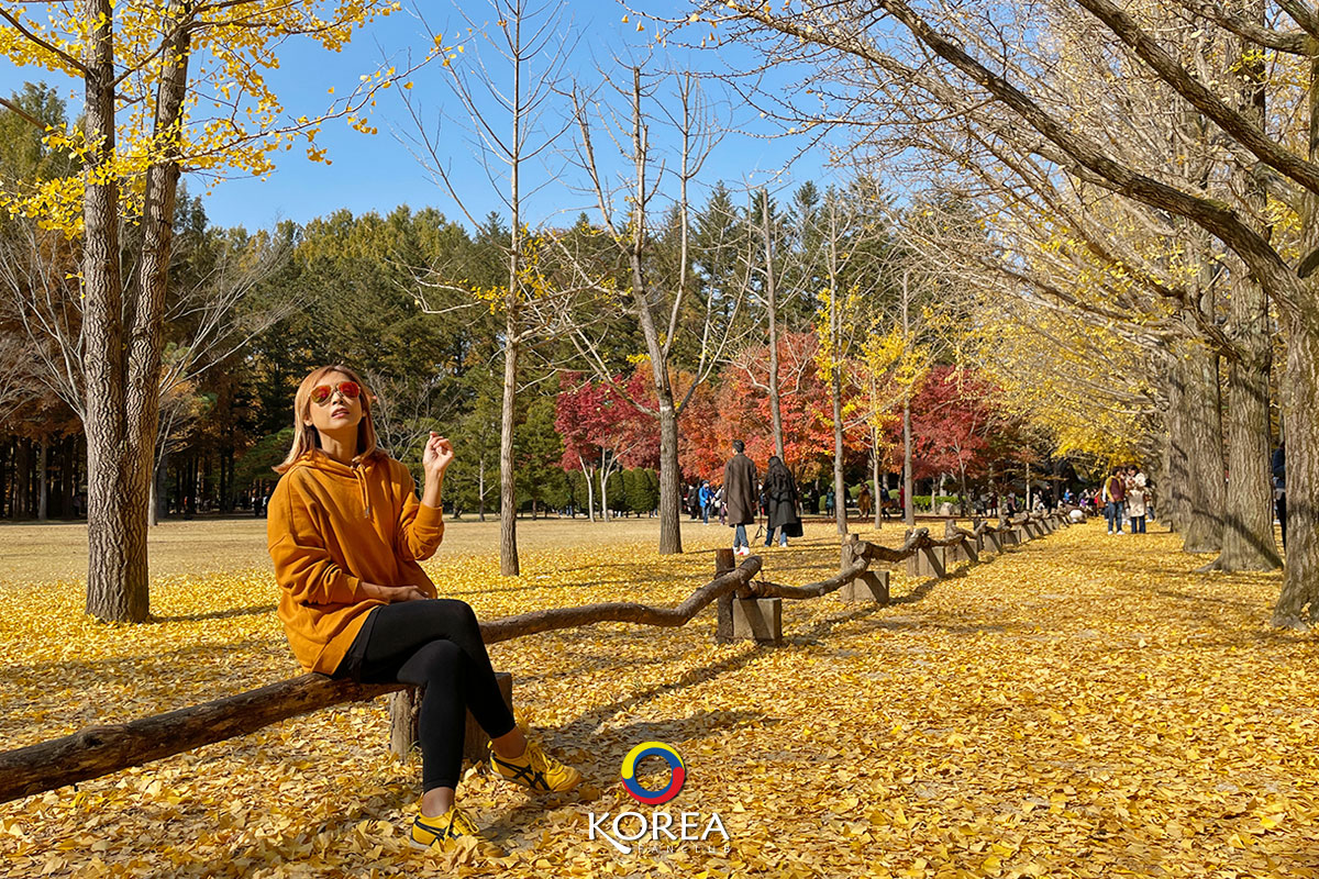 nami island