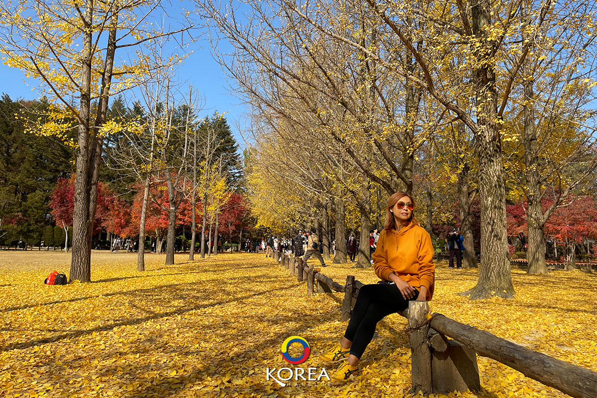 nami island