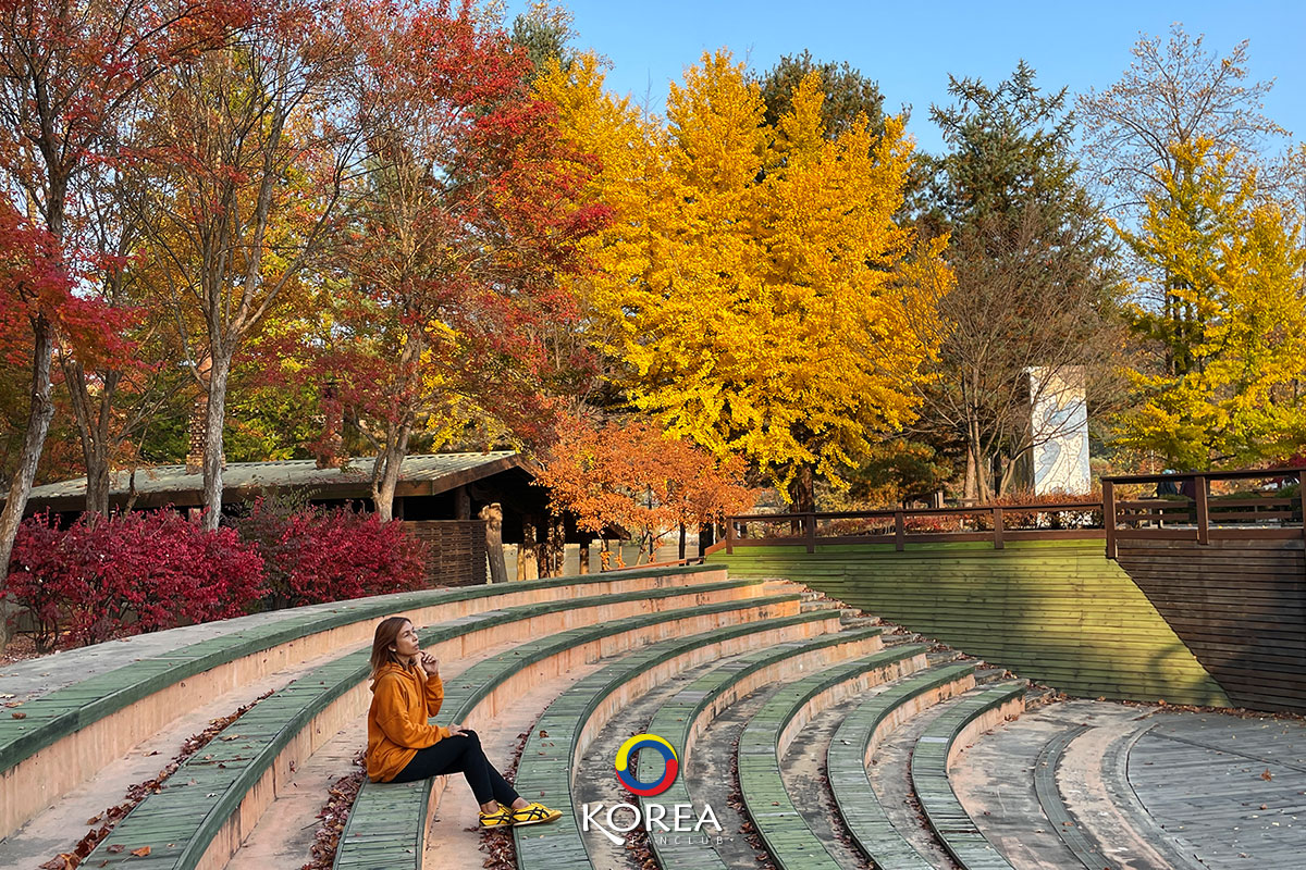 ลุงเด้ง ป้าไก่ nami island