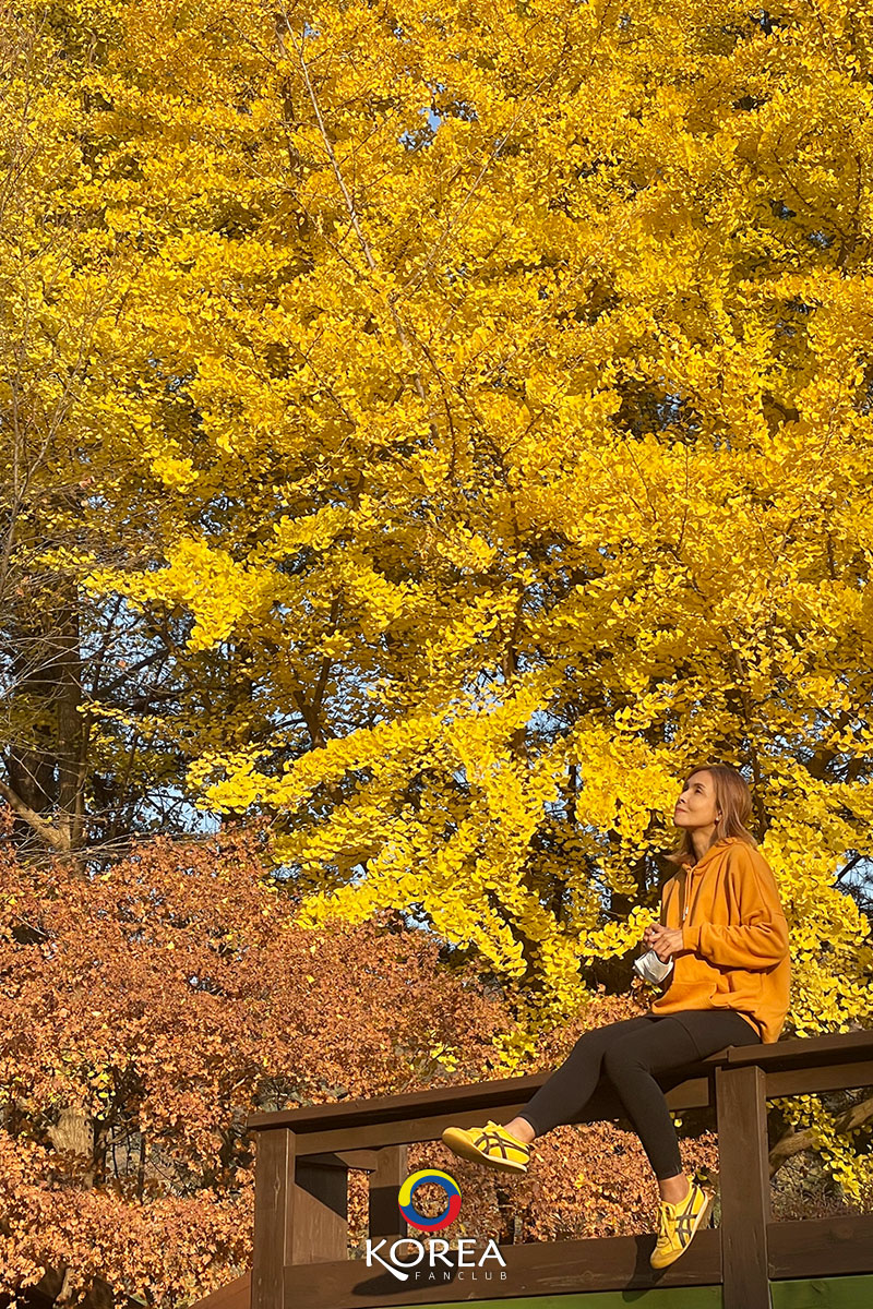 ลุงเด้ง ป้าไก่ nami island