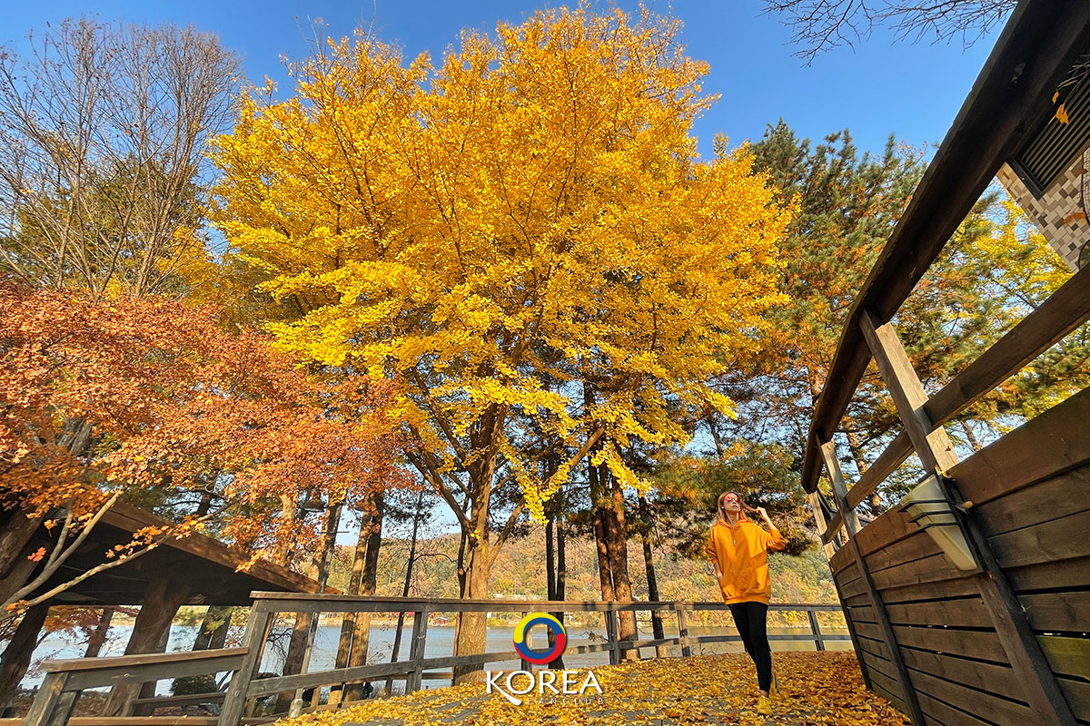 nami island