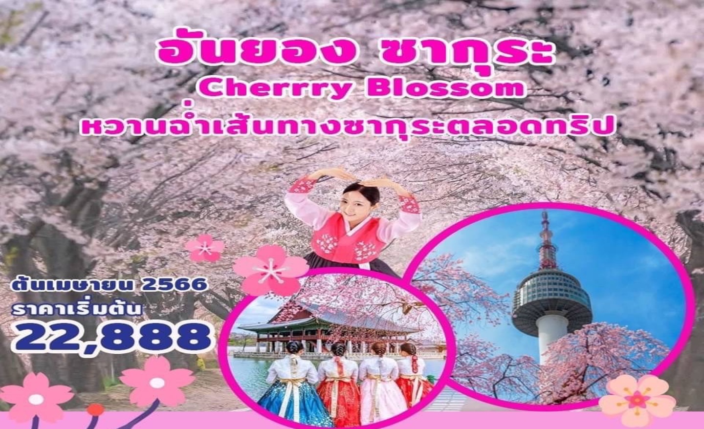 ทัวร์เกาหลี อันยอง ซากุระ (มี.ค.-เม.ย 66)