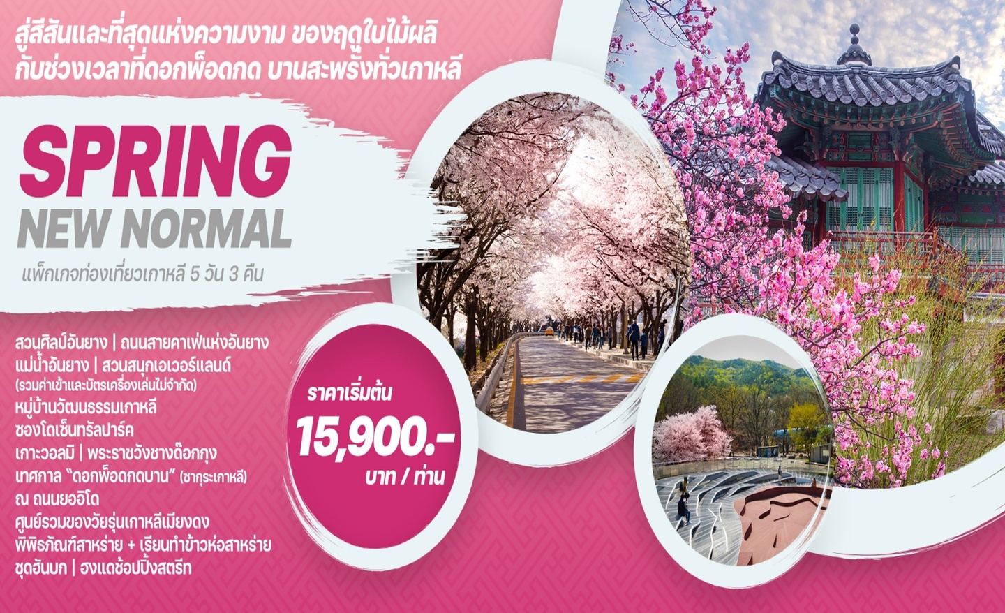 ทัวร์เกาหลี Spring New Normal (มี.ค.-เม.ย 66)