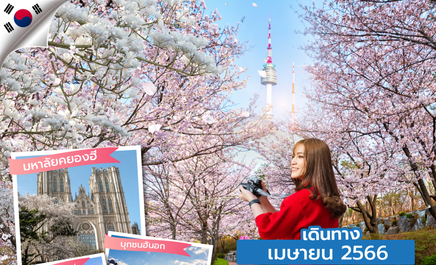 ทัวร์เกาหลี ซุปตาร์…Blossom So Sweet (เม.ย 66)
