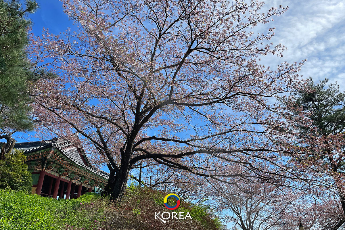 Gyeongpodae Pavilion