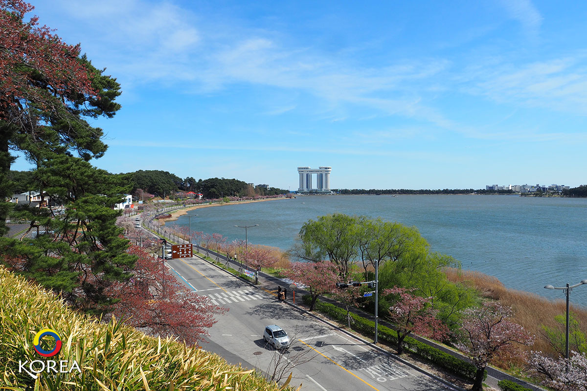 Gyeongpoho Lake ทะเลสาบคยองโพ