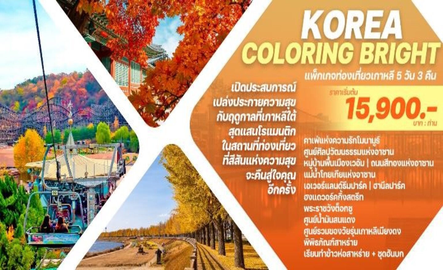 ทัวร์เกาหลี Korea Coloring Bright (ก.ย.-พ.ย.66)