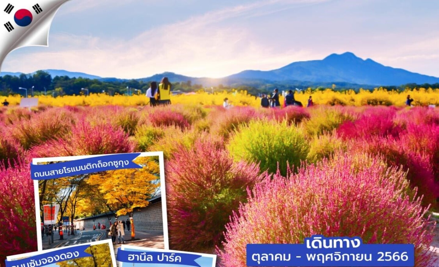 ทัวร์เกาหลี ICNXJ0823 ซุปตาร์ Colorful Yangju (ต.ค.-พ.ย.66)