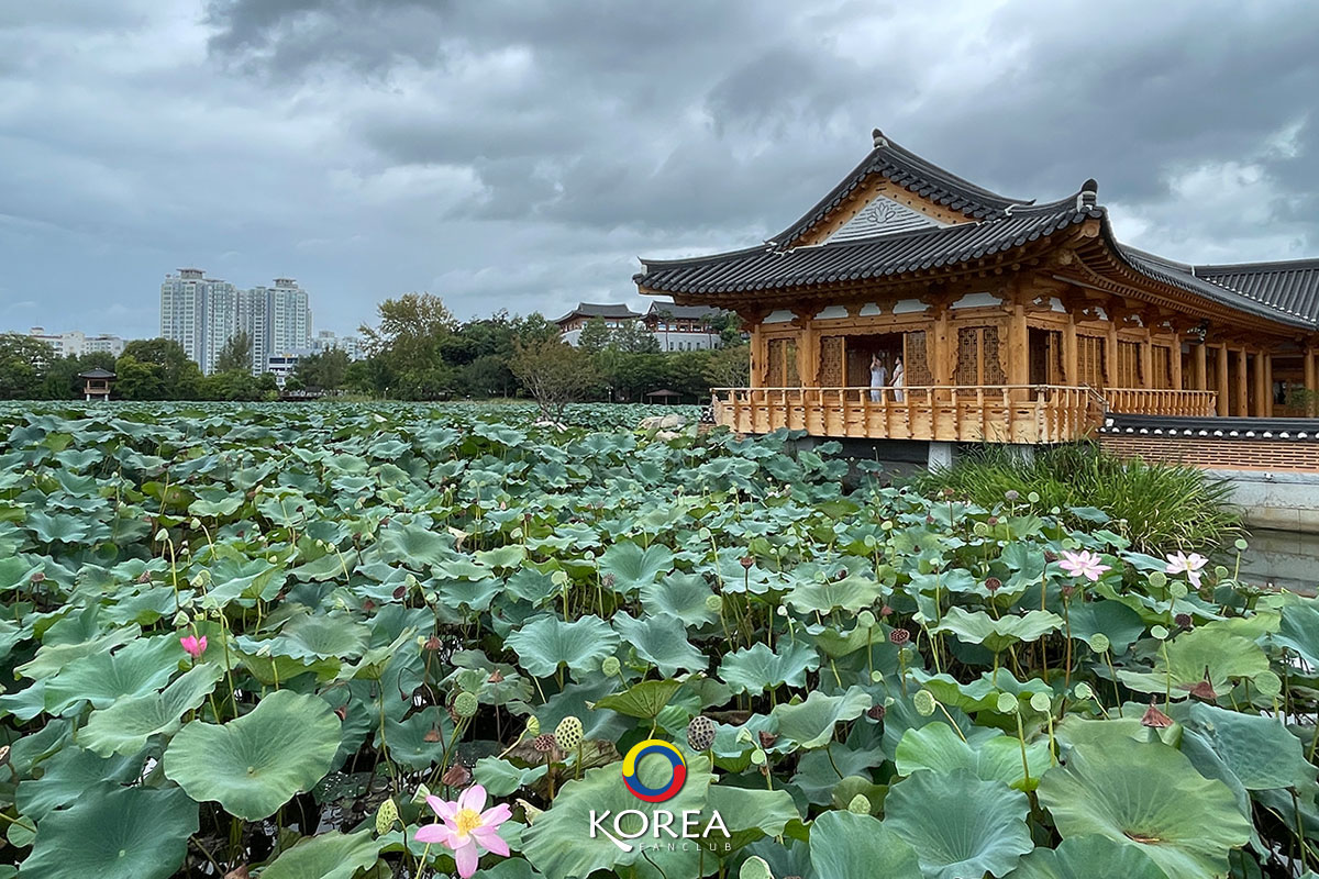 Deokjin Park